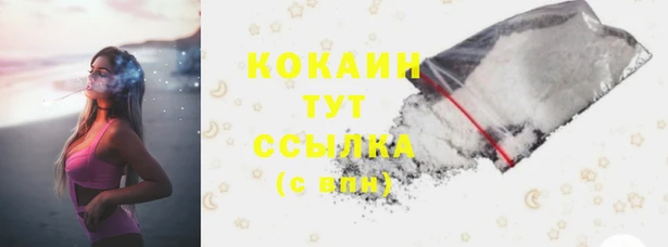 дживик Заводоуковск