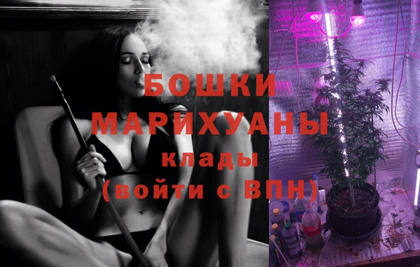 дживик Заводоуковск