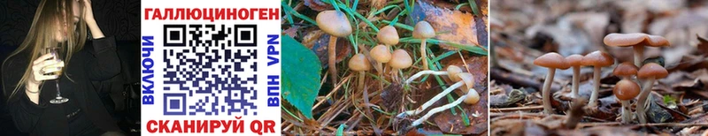 Галлюциногенные грибы Cubensis  Купить  Севск 