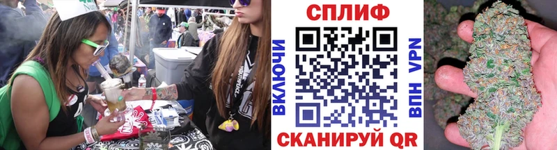Купить закладки  Севск  Каннабис планчик 